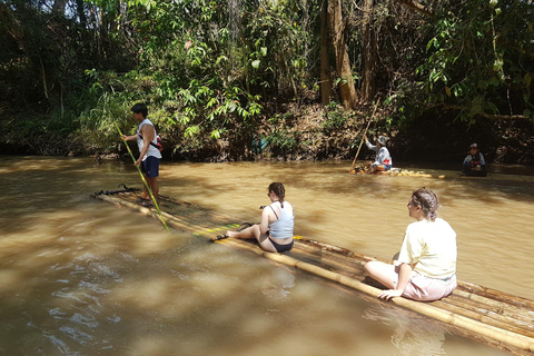 Chiang Mai: Jungle Trek, Elephants & Hill Tribe Village Stay Chiang Mai: 2-Day Jungle Trek with Hill Tribe Stay