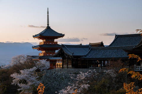 From Osaka: Kyoto Temples, Shrines & Cherry Blossom Day Trip