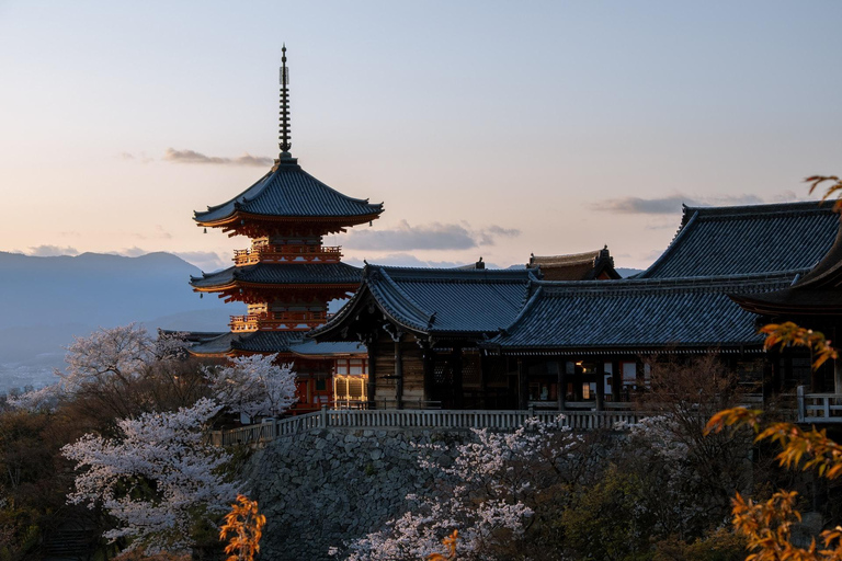 From Osaka: Kyoto Temples, Shrines & Cherry Blossom Day Trip