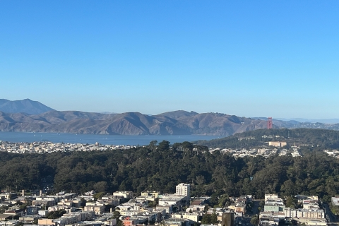 San Francisco Excursión privada de 4 horas en coche