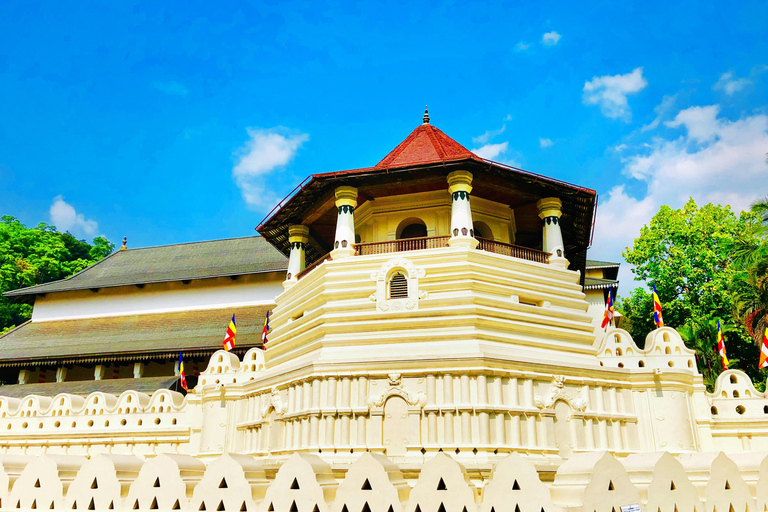 Kandy Day Tour From Colombo