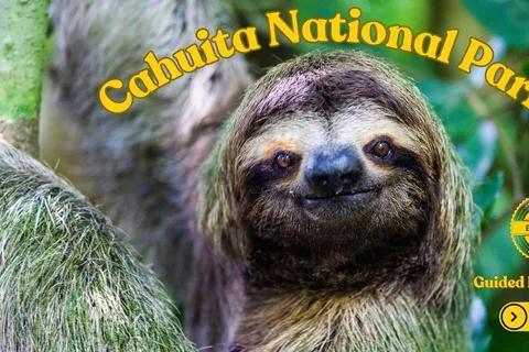 Costa Rica: Escursione guidata nel Parco Nazionale di Cahuita