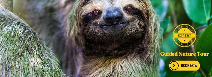 Costa Rica : Randonnée Nature Guidée dans le Parc National de Cahuita