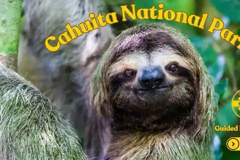 Costa Rica: Guidet vandretur i Cahuita Nationalpark