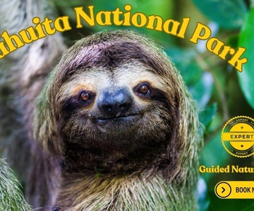 Costa Rica: Escursione guidata nel Parco Nazionale di Cahuita
