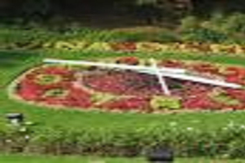 The Pacific Ocean Route before your eyes. Viña del Mar, Chile.