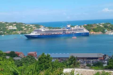 St. Lucia: Landausflug nach Castries City &amp; StrandpicknickSt. Lucia: Stadtrundfahrt durch Castries und Strandpicknick