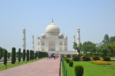 Agra: Sunrise Taj Mahal and Elephant/Bear Wildlife SOS Tour Tour without Entry Tickets and Lunch or Breakfast