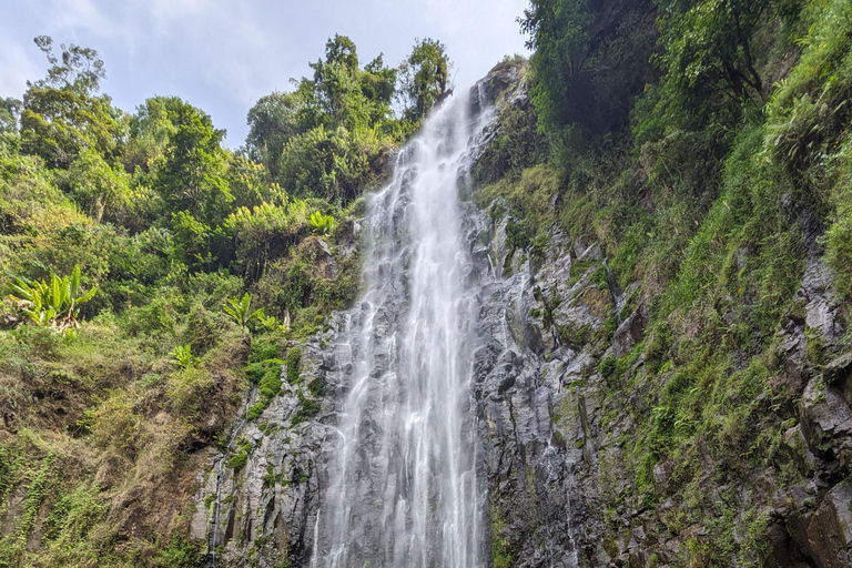Day Trip: Materuni Waterfalls, Coffee, Springs & Maasai