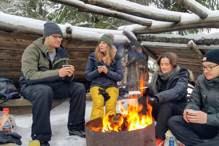 Oslo: Wilderness Skiing Tour with Lunch by the Fire