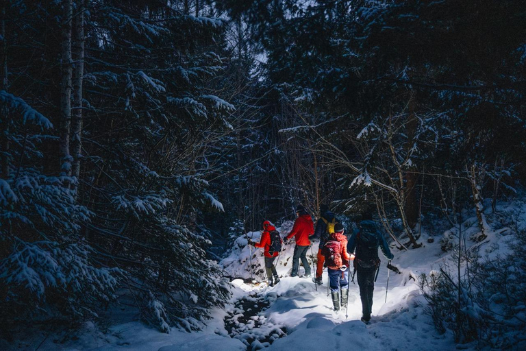 Oslo Forest: Mystery Nocturne Walk with Headlamps