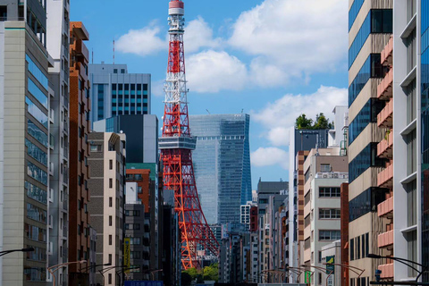Tokyo Private & Customizable Tour with English Driver Guide