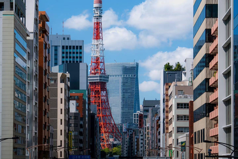 Tokyo Private & Customizable Tour with English Driver Guide