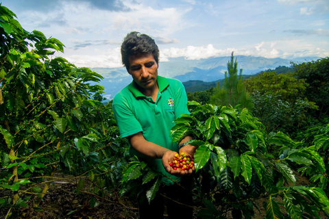 Depuis Oxapampa : Villa Rica, la capitale de la Route du Café