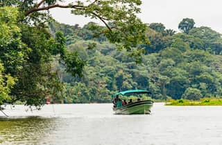 Panama-Stadt: Natur auf Monkey Island mit Bootstour inklusive