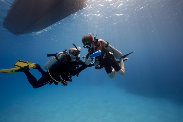 Visit Refresher & Fun dive for certified divers with bbq lunch in Fujairah