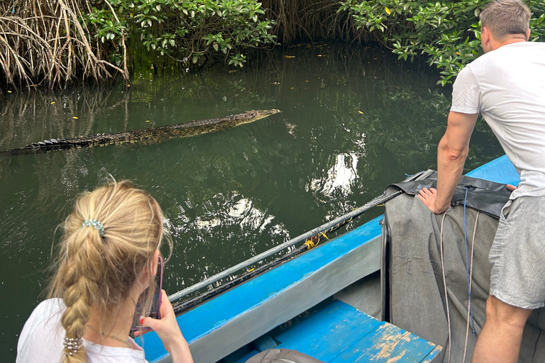 2h Bentota River Safari: Crocs, Monkeys, Mangrove & more