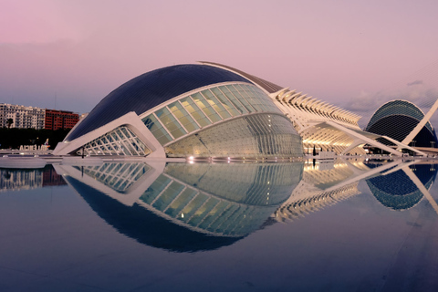 Valencia: Private Guided Tour with Your Mobile Phone Valencia: Private Guided Tour