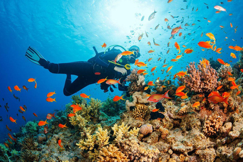 Visit Cham Islands & Snorkelling & Scuba Diving Group Tour