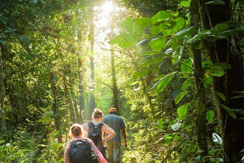 Puerto Maldonado: Collpa Chuncho 2-Day Jungle Tour