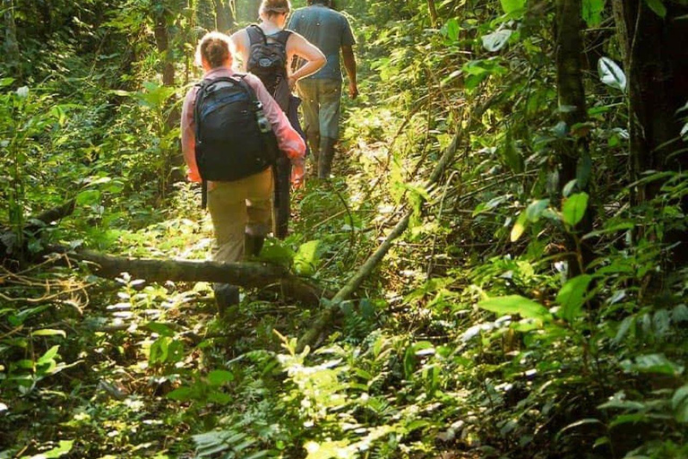 Puerto Maldonado: Collpa Chuncho 2-Day Jungle Tour