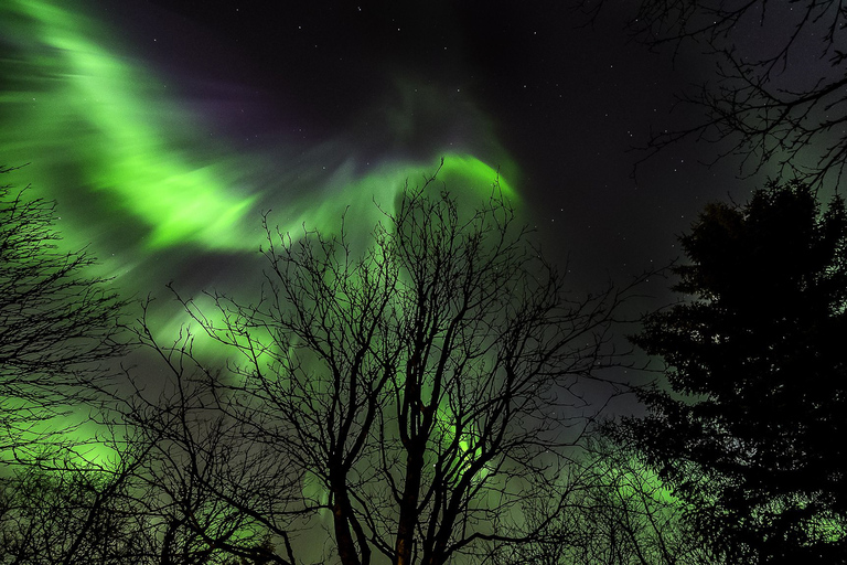 Desde Reikiavik: Círculo Dorado y la aurora borealReikiavik: Círculo Dorado y aurora boreal con recogida