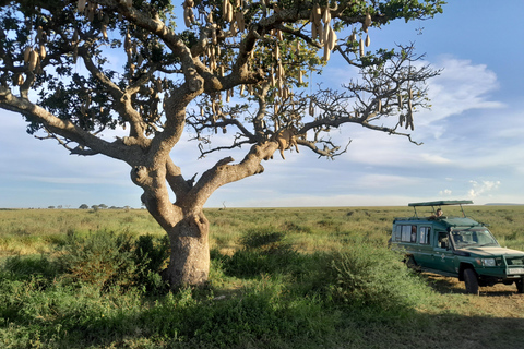 Arusha: Coffee tour, Mangalia water falls & Tarangire NP