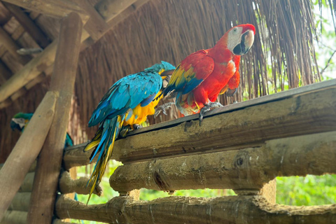 Cartagena: Day Trip Aviary and lunch in baru by boat