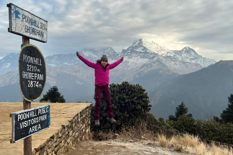 Från Pokhara: 4-dagars Ghorepani Poon Hill Trek med guide