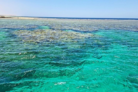 Marsa Alam: Arrecifes de Sataya Delfín, snorkel y almuerzoMarsa Alam: Arrecifes de Sataya Delfines, Buceo y Almuerzo