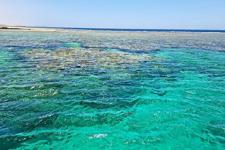 Marsa Alam: Arrecifes de Sataya Delfín, snorkel y almuerzo