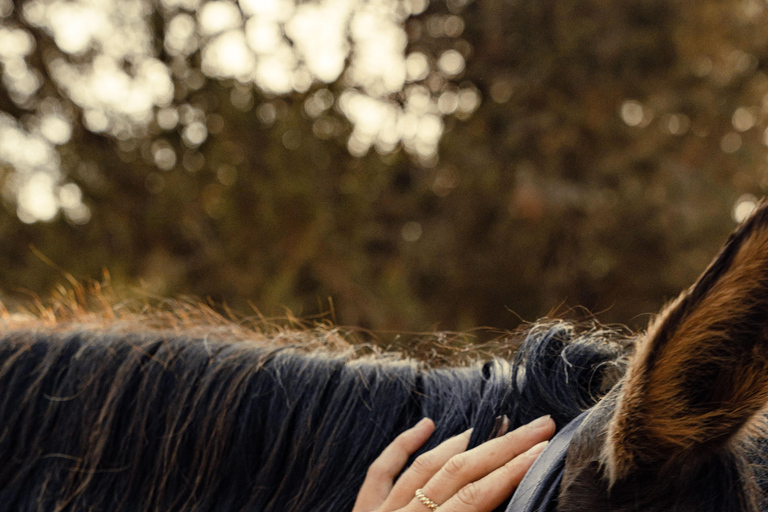 Sambia: Halbtägige Reitsafari + Mittagessen