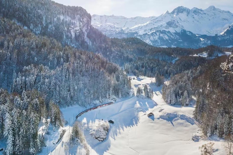 Zurich: Hardcore Swiss Train Tour–4 Scenic Railways in 1 day Excluding Train Tickets