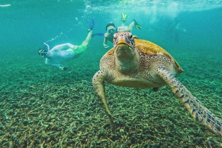Ko Tao: Vintage Boat-Small Group Snorkeling Day Trip w/Meals