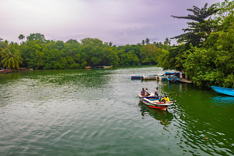 From Colombo: Mangroves, Turtles & Golden Shores