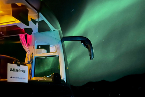 Reykjavik: autocarro confortável para ver as luzes do norte com presente localPasseio de autocarro para ver as luzes do norte a partir da paragem de autocarro n.º 12