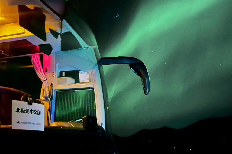 Reykjavik: autocarro confortável para ver as luzes do norte com presente localPasseio de autocarro para ver as luzes do norte a partir da paragem de autocarro n.º 12