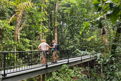 Private Daintree Rainforest and Wildlife half day Tour