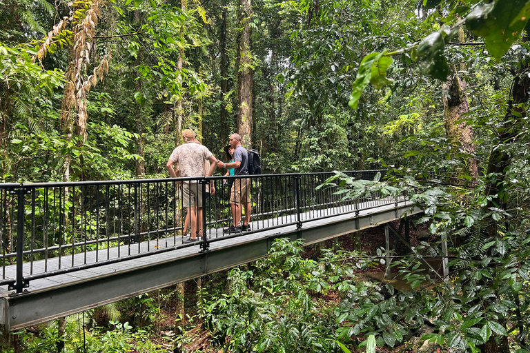 Private Daintree Rainforest and Wildlife half day Tour