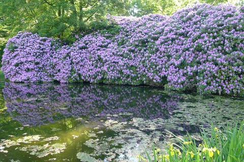 Ohlsdorf Cemetery: 1.5-hour individual guided tour