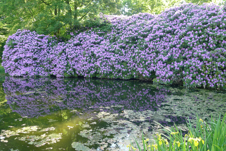 Ohlsdorf Cemetery: 1.5-hour individual guided tour