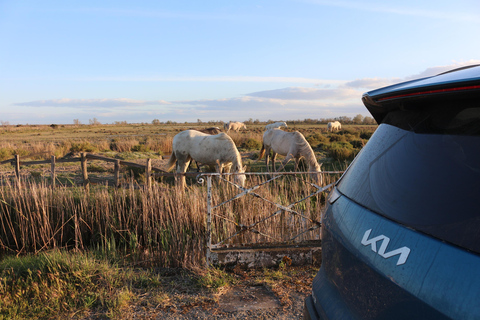Camargue: Electric 4x4 Safari – Saintes-Maries + Tasting Camargue: Electric 4x4 Safari – Departure from Saintes-Maries-de-la-Mer + Tasting