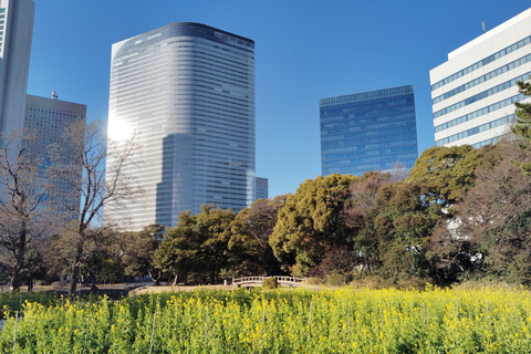 Tokyo: Hama-rikyu Garden Guided Tour with Entry Ticket