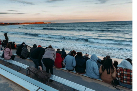 From Melbourne: Phillip Island Penguin Parade Private Tour