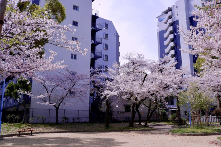 Osaka: Daytime Hanami (Cherry Blossom) and Food Tour