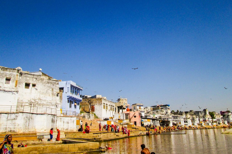 From Jaipur: Temple Town Pushkar Day Trip with Camel Safari