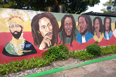 Bob Marley Mausoleum & Dunn’s River Falls Private Tour