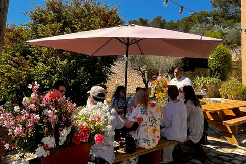 Aix-en-Provence : Visite d'une demi-journée dans les Coteaux d'Aix