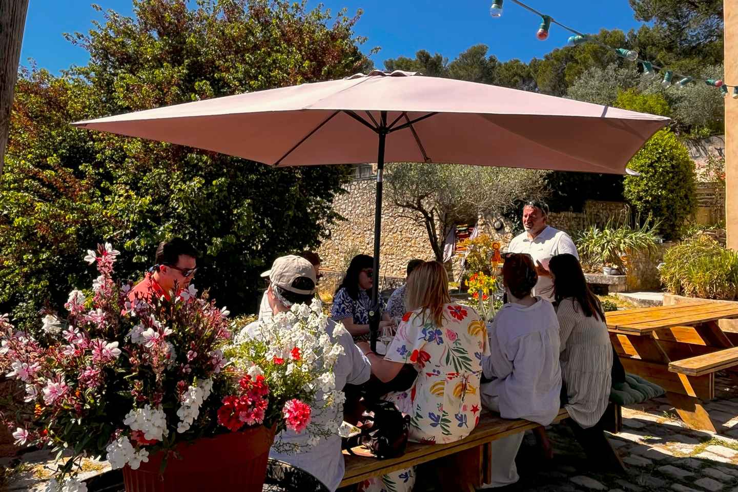 discover the lush countryside and gorgeous vineyards