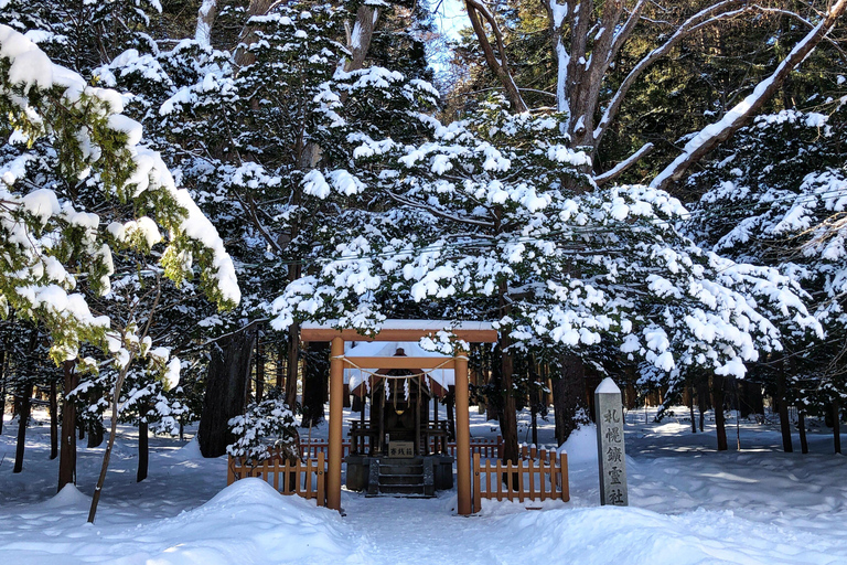 Sapporo: Fish Markets Half Day with a Local
